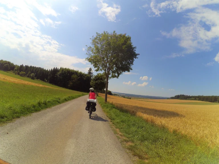 Selva Negra Etapa 6/8: Triberg – Titissee